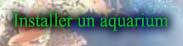Installer un aquarium