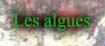 Les algues