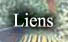 Liens